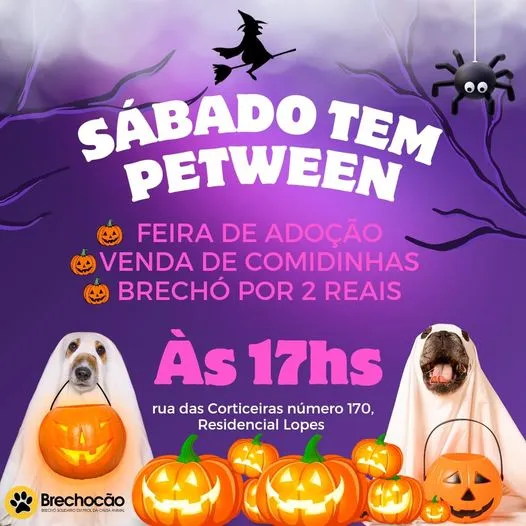 Petween em Santa Maria: Adote um Amigo e Celebre o Halloween!