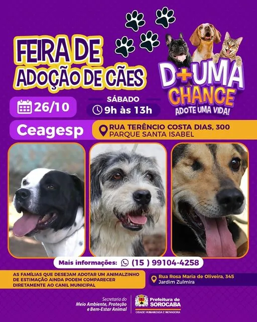 Feirão de Adoção de Cães em Sorocaba – Encontre seu Novo Amigo!
