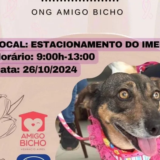 Feira de Adoção Amigo Bicho - Um amigo espera por você!