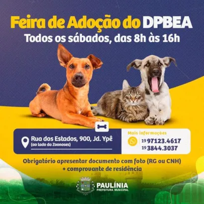 Feira de Adoção em Paulínia: Encontre seu Novo Amigo!