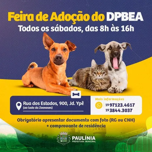 Feira de Adoção em Paulínia: Encontre seu Novo Amigo!