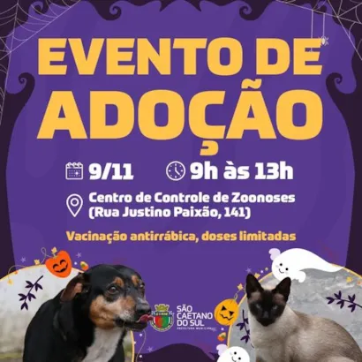 Feira de Adoção de Animais: Encontre seu Novo Amigo!