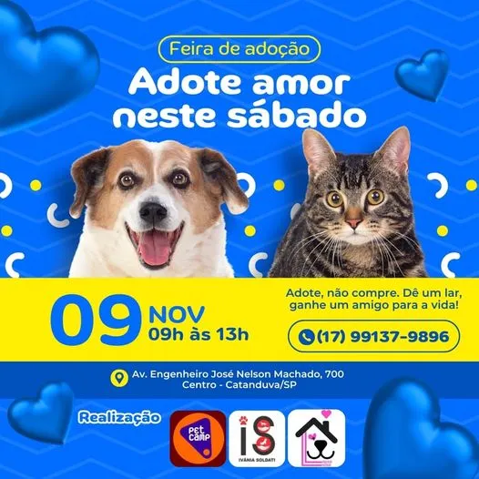 Adote Amor e Companhia na Feira de Adoção em Catanduva!