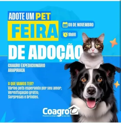 Feira de Adoção de Pets: Encontre seu Novo Melhor Amigo!