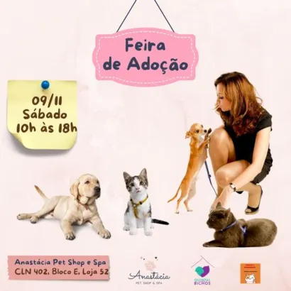 Abrace um Amigo Peludo: Feira de Adoção em Brasília