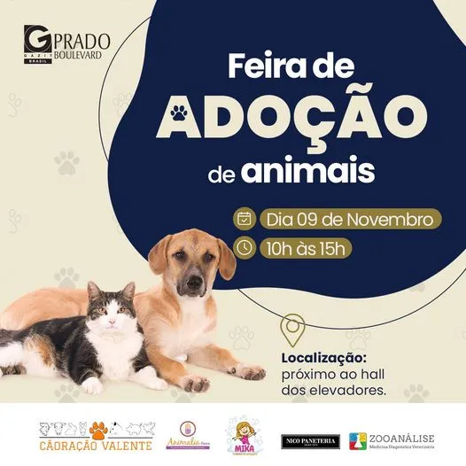 Feira de Adoção: Encontre seu Novo Amigo Pet em Campinas!