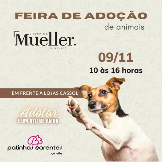 Feira de Adoção no Shopping Mueller: Encontre Seu Novo Amigo!