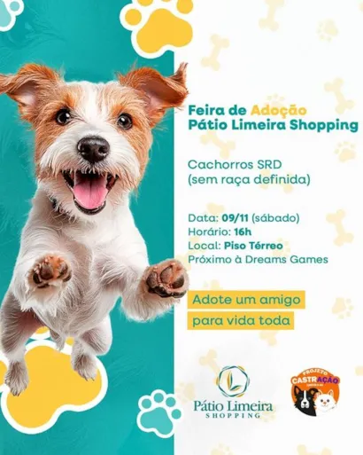 Feira de Adoção de Animais: Encontre seu novo melhor amigo!