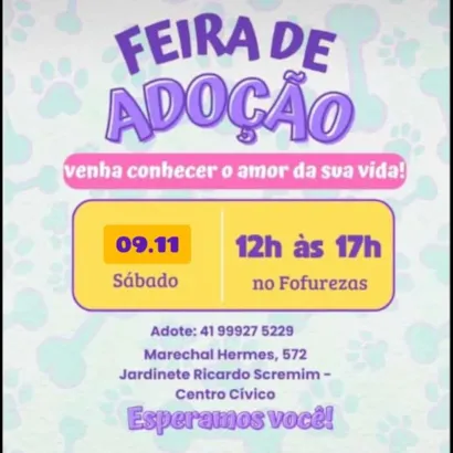 Feira de Adoção em Piraquara: Ache seu novo amigo peludo!