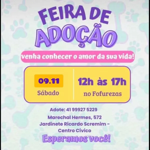 Feira de Adoção em Piraquara: Ache seu novo amigo peludo!