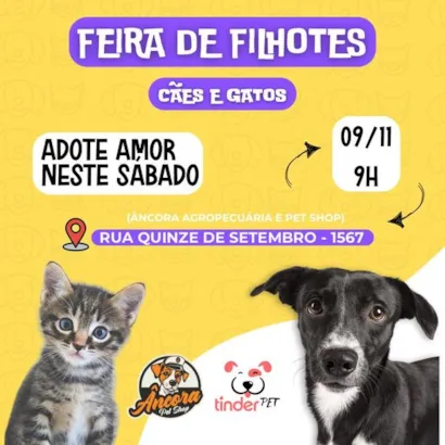 Feira de Filhotes em Ponta Grossa: Adote um novo amigo!