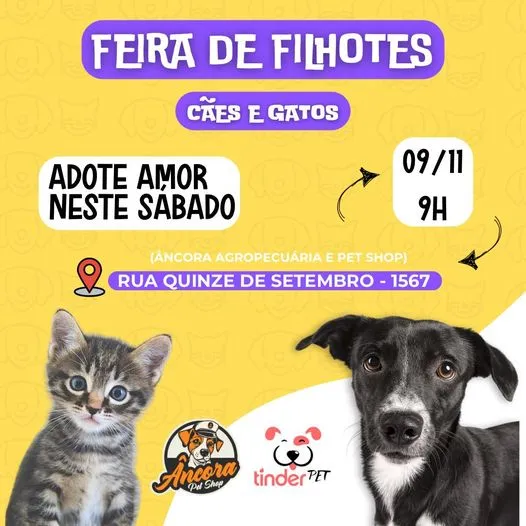 Feira de Filhotes em Ponta Grossa: Adote um novo amigo!