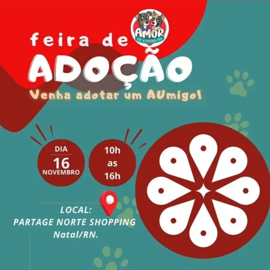 Feira de Adoção: Encontre seu Novo Melhor Amigo em Natal!