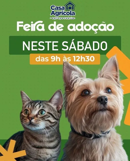 Feira de Adoção de Pets: Encontre seu Novo Melhor Amigo!