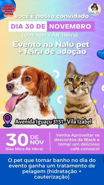 Participe da Feira de Adoção e Carinho em Curitiba no dia 30/11, das 10h às 14h. Encontre seu novo amigo e desfrute de promoções especiais da Black Week!