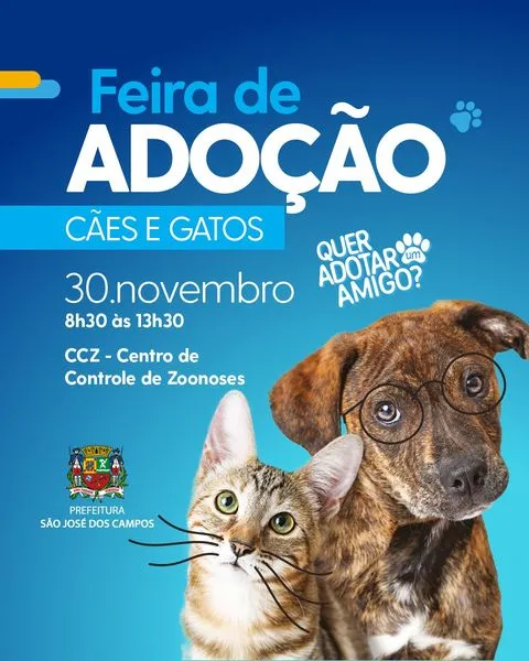 Feira de Adoção: Encontre Seu Novo Melhor Amigo!