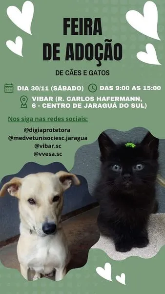 Participe da Feira de Adoção em Jaraguá do Sul no dia 30 de novembro. Dê um lar a um cão ou gato carente e faça a diferença na vida de um animal.