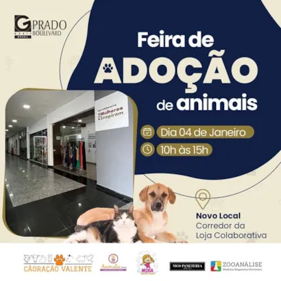 Feira de Adoção de Animais no Prado Boulevard em Campinas