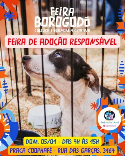 Feira de Adoção Responsável: Encontre seu Novo Amigo em Campo Grande