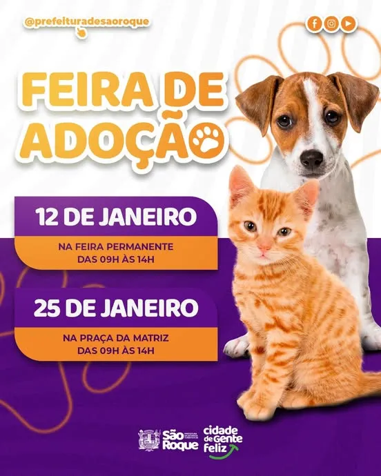 Feira de Adoção de Animais em São Roque: Encontre seu Novo Amigo!