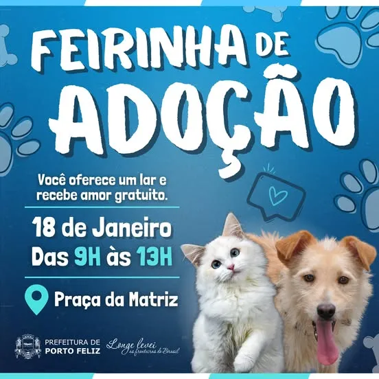 Feirinha de Adoção em Porto Feliz: Encontre seu Novo Amigo!
