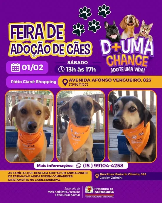 Participe da Feira de Adoção de Cães em Sorocaba, dia 1 de fevereiro, no Pátio Cianê Shopping. Dê uma nova vida a um amigo peludo e espalhe amor!