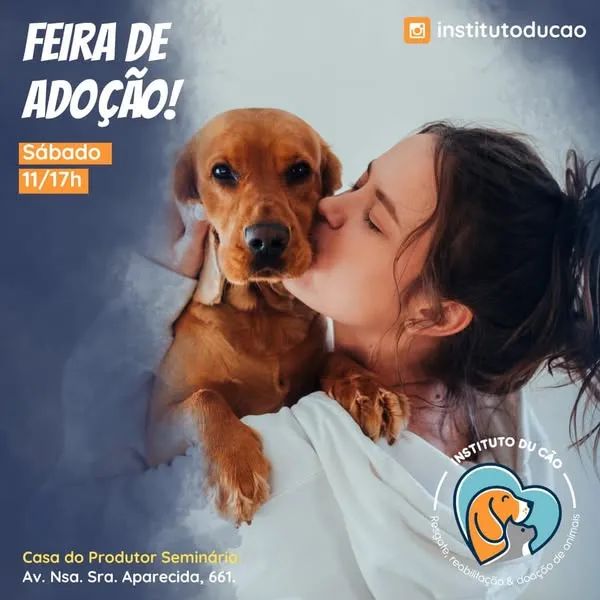Participe da Feira de Adoção em Curitiba neste sábado das 11h às 17h! Adote um cão ou gato vacinado e transforme a vida de um animal carente. Venha!