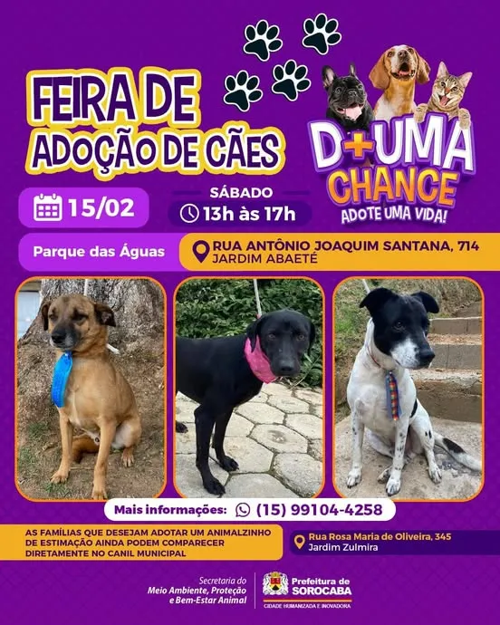 Participe da Feira de Adoção de Cães em Sorocaba no dia 15/02/2025, das 13h às 17h, no Parque das Águas. Adote um amigo e transforme vidas!