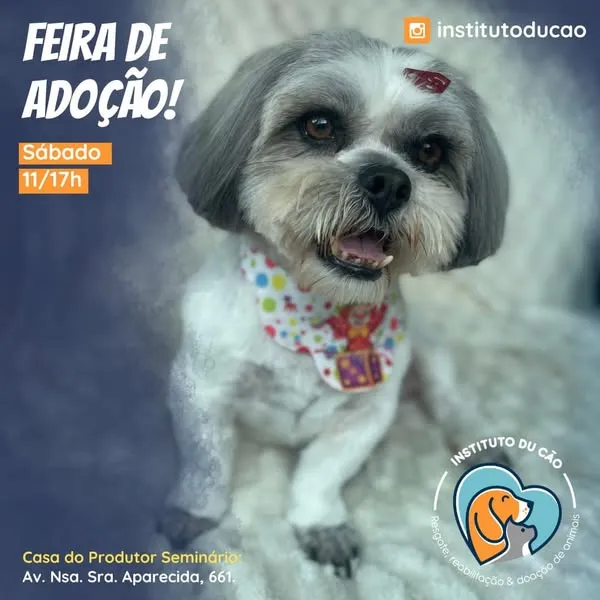 Participe da Feira de Adoção de Animais em Curitiba! Neste sábado, adote seu novo melhor amigo e aproveite atividades para toda a família. Não perca!