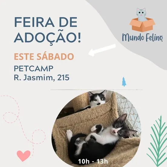 Feira de Adoção de Animais em Campinas! Encontre seu novo amigo!