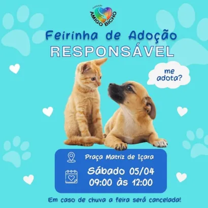 Feirinha de Adoção Responsável em Içara: Um Lar para Todos!