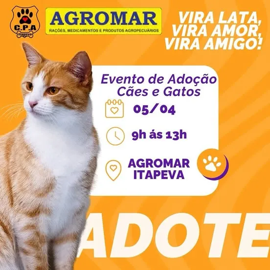 Adote um novo amigo em Itapeva! Participe da feira de adoção de cães e gatos no dia 04/04/2025, das 9h às 13h, no Agromar. Faça a diferença!