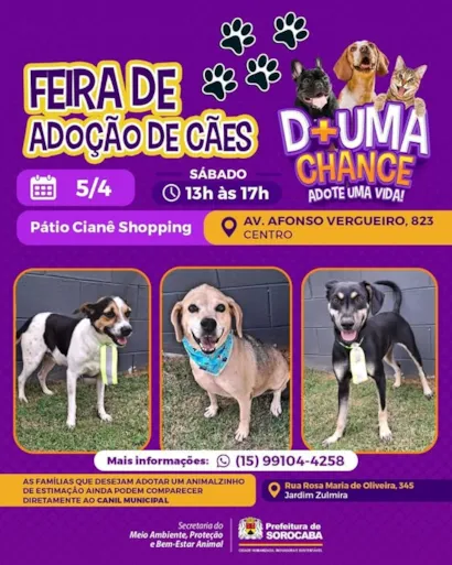 Feira de Adoção de Cães em Sorocaba: Dê uma Chance, Adote uma Vida!