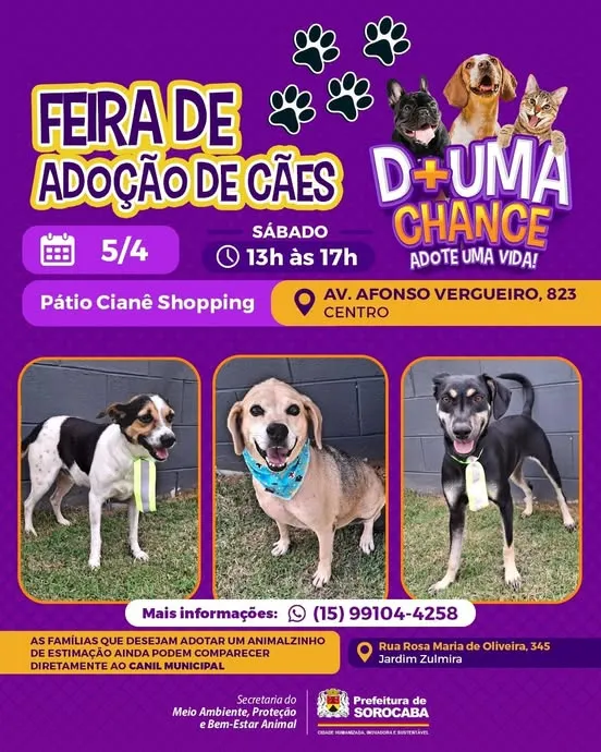 Feira de Adoção de Cães em Sorocaba: Dê uma Chance, Adote uma Vida!