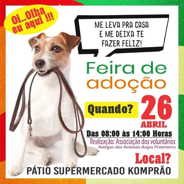 Feira de Adoção em Balneário Camboriú: Encontre seu Novo Melhor Amigo!