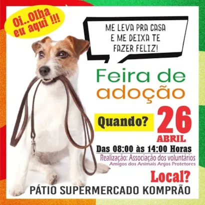 Feira de Adoção em Balneário Camboriú: Encontre seu Novo Melhor Amigo!