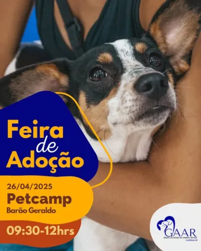 Feira de Adoção Petcamp em Campinas – Encontre seu novo melhor amigo!
