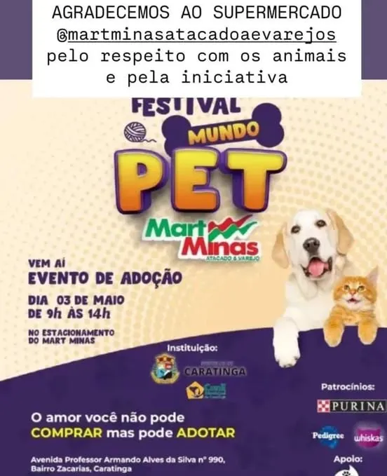 Participe do Festival Mundo Pet em Caratinga no dia 3 de maio de 2025. Adoção de cães e gatos, atividades, cuidados pet e muito amor no Mart Minas.