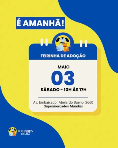 Adote Um Amigo: Feirinha de Adoção de Animais no Rio!