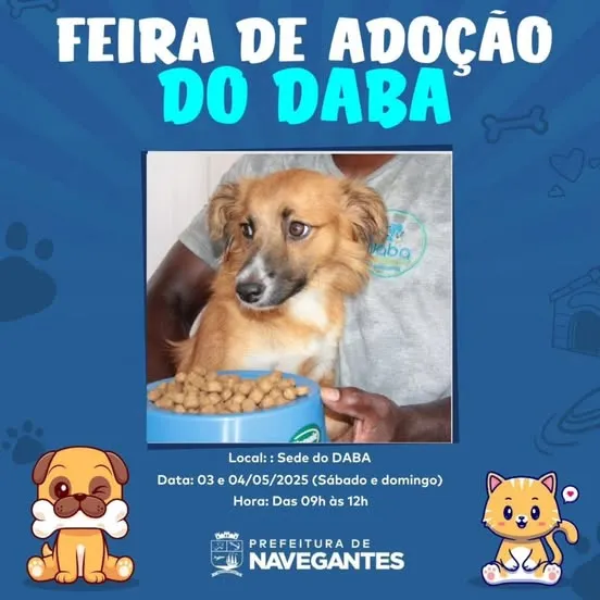 Participe da Feira de Adoção do DABA em Navegantes nos dias 03 e 04 de maio de 2025. Encontre seu novo amigo! Cães e gatos à espera de um lar.