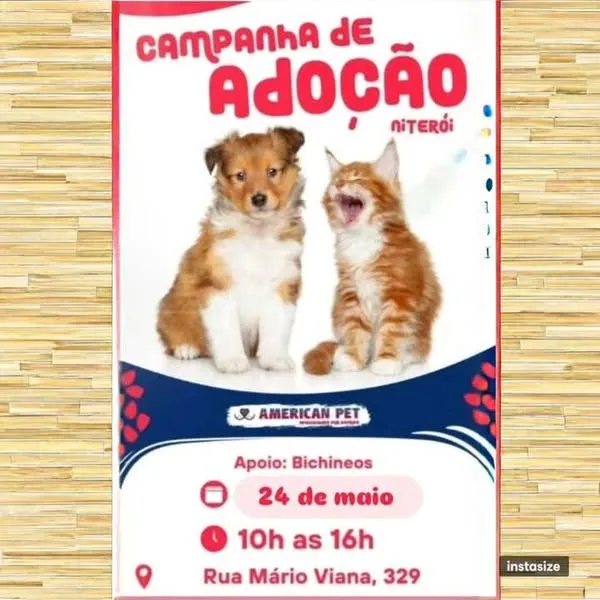 Encontre seu novo melhor amigo na campanha de adoção em Niterói! Dia 24/05, das 10h às 16h, na Rua Mário Viana, 329. Adote um pet e mude vidas!
