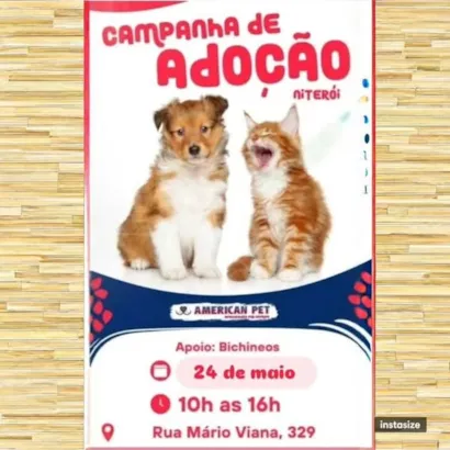 Encontre seu Novo Melhor Amigo: Campanha de Adoção em Niterói!