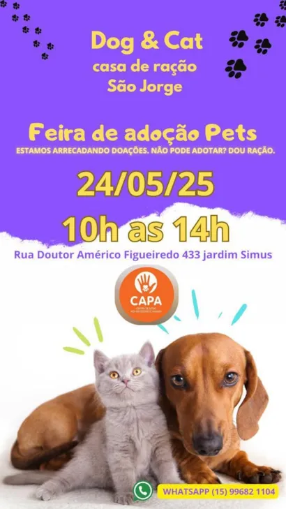 Encontre Seu Novo Amigo na Feira de Adoção em Sorocaba!