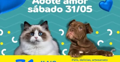 Feira de Adoção