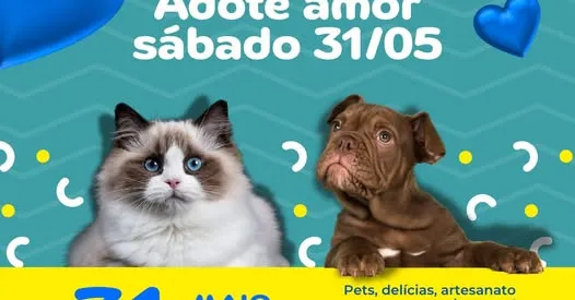 Participe da feira de adoção em Curitiba e encontre seu novo amigo peludo!