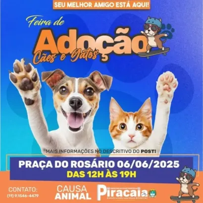 Encontre Seu Novo Melhor Amigo: Feira de Adoção de Cães e Gatos