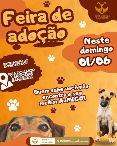 Encontre Seu Melhor AuMigo na Feira de Adoção