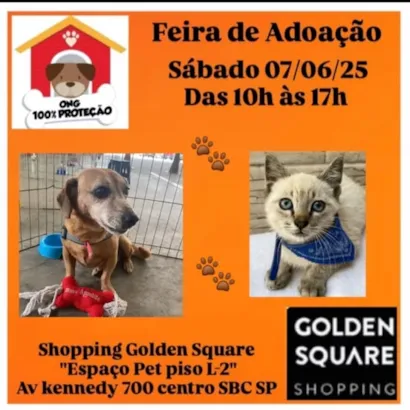 Evento de Adoção de Pets no Shopping Golden Square