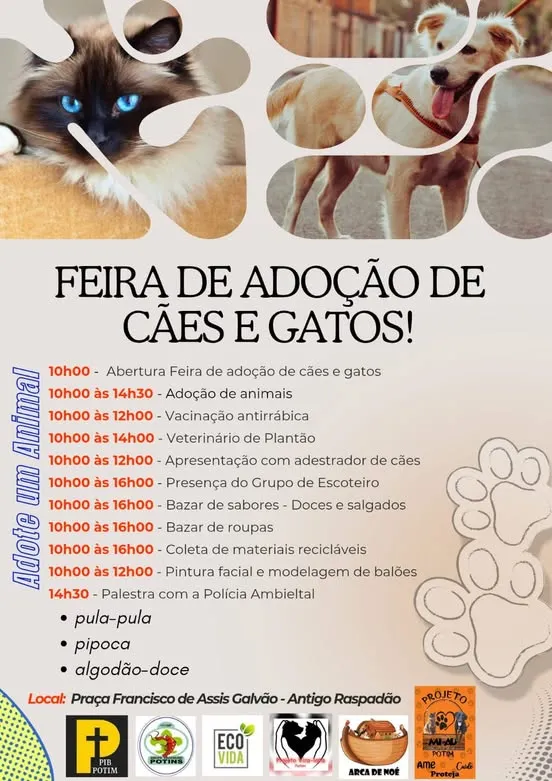 Participe da Feira de Adoção de Cães e Gatos em Potim, SP, em 2025. Adote e transforme vidas!