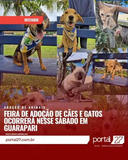 Encontre seu Novo Melhor Amigo na Feira de Adoção em Guarapari!